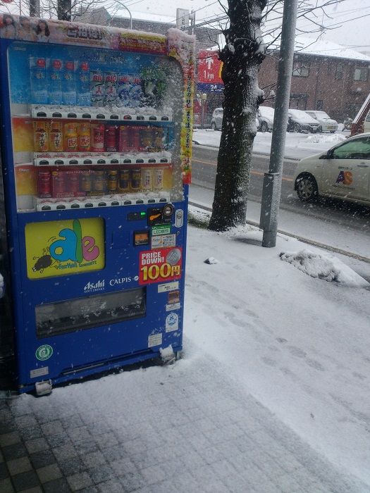 DSC_1652.jpg